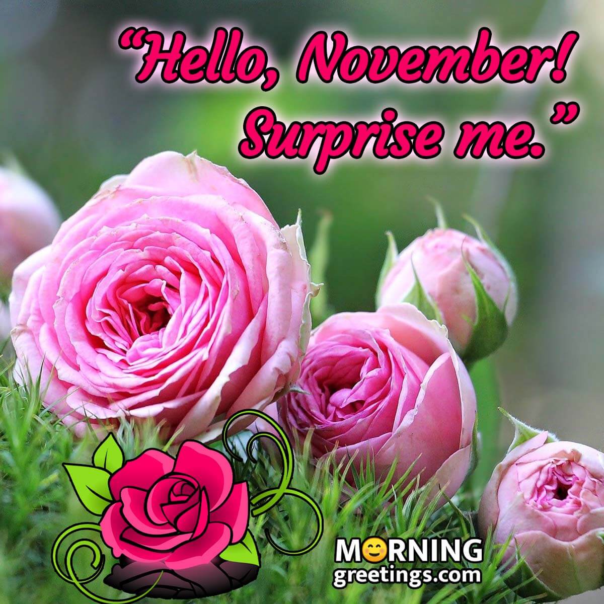 Hello November, Surprise Me