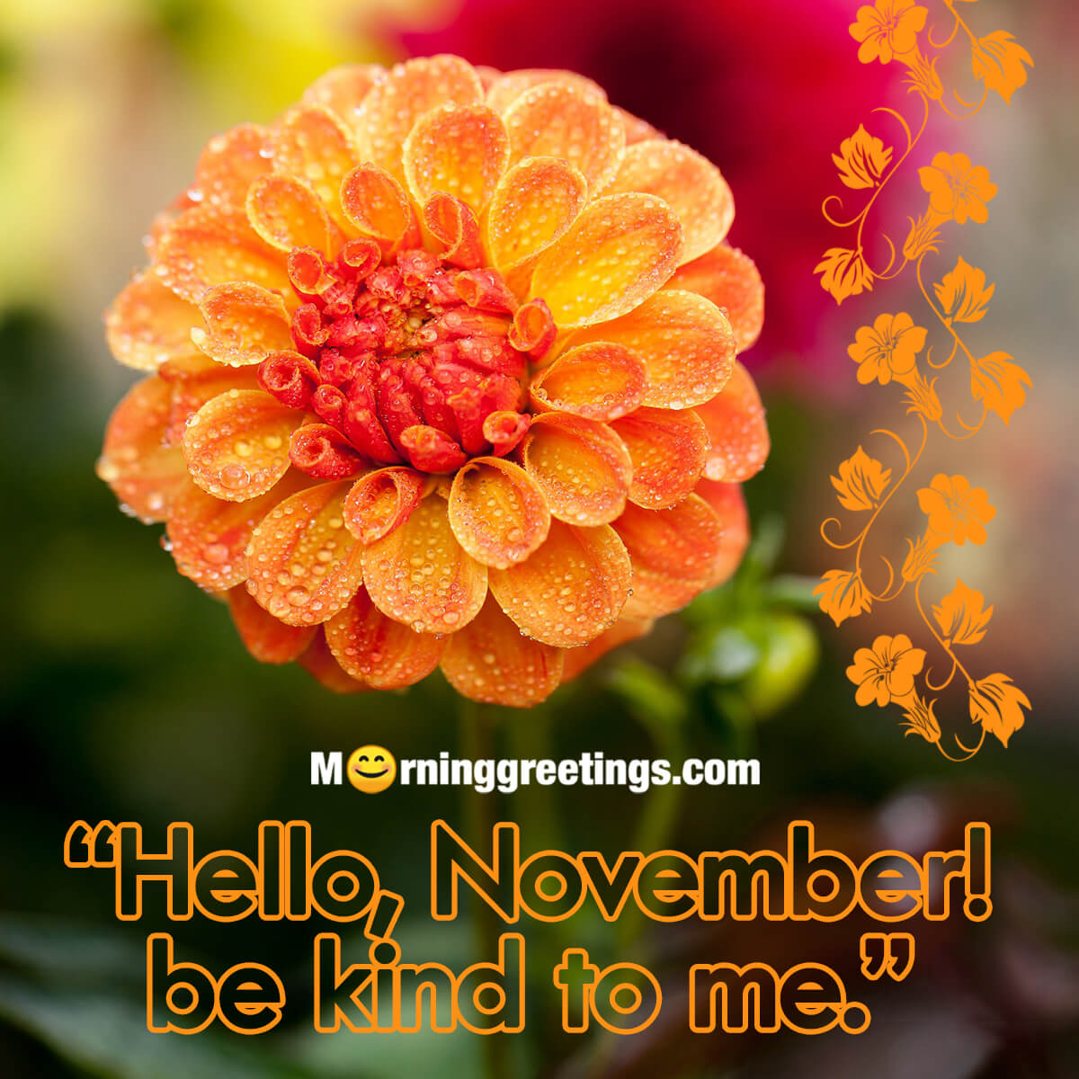 Hello November, Be Kind To Me