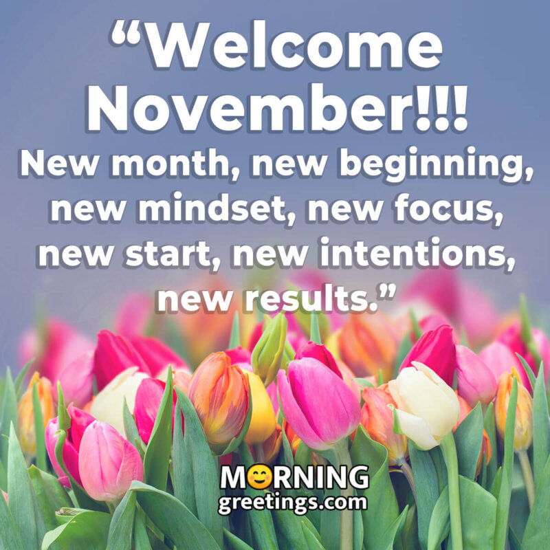 Welcome November Quote In English