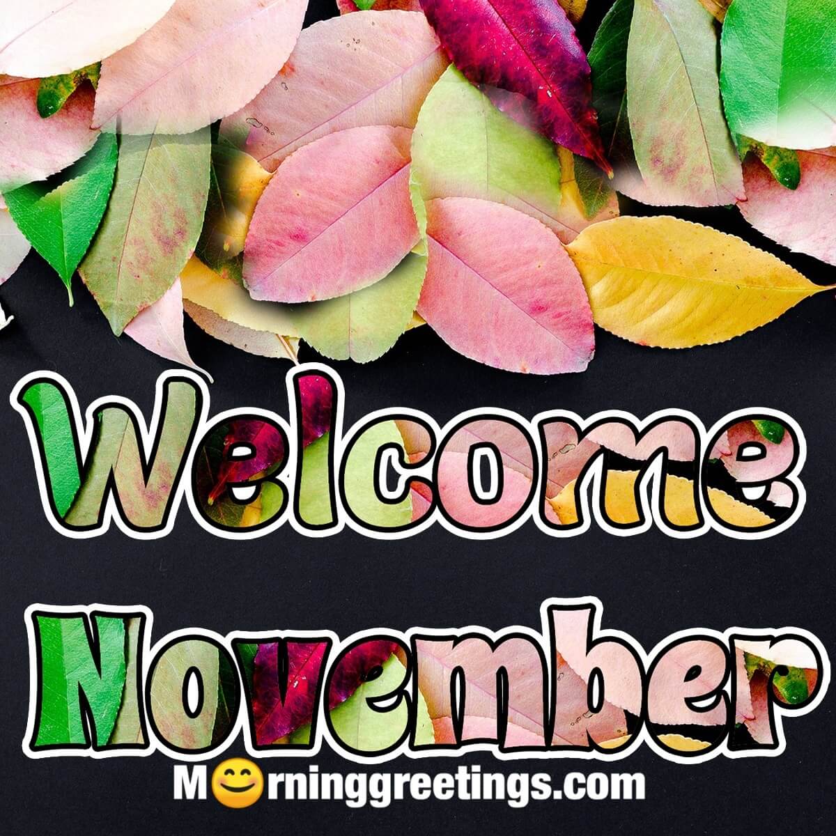 Welcome November