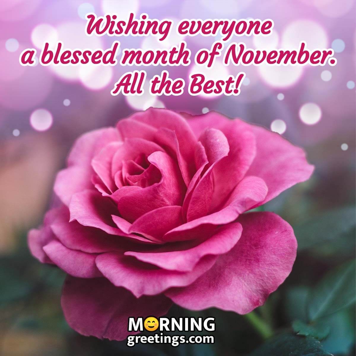 Wishing A Blessed Month Of November