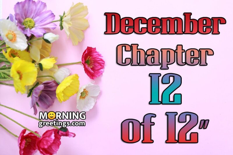 December – Chapter 12 Of 12