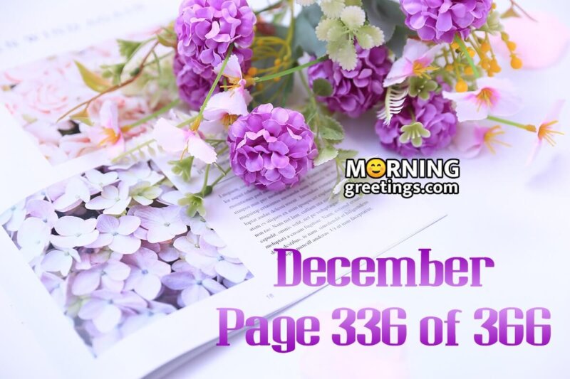 December – Page 336 Of 366
