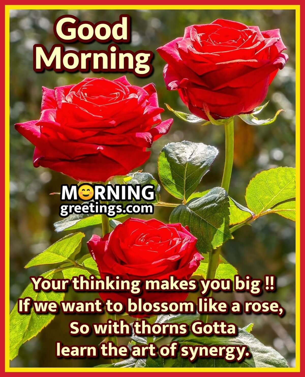 Good Morning Blossom Like A Rose