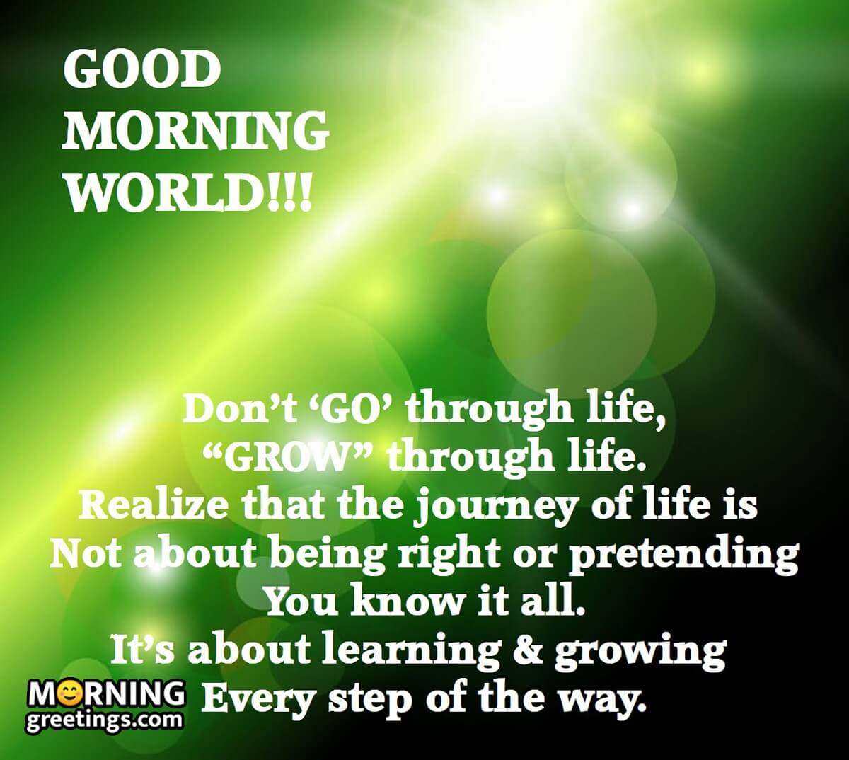 Good Morning Dont Go Throgh Life Grow Through Life