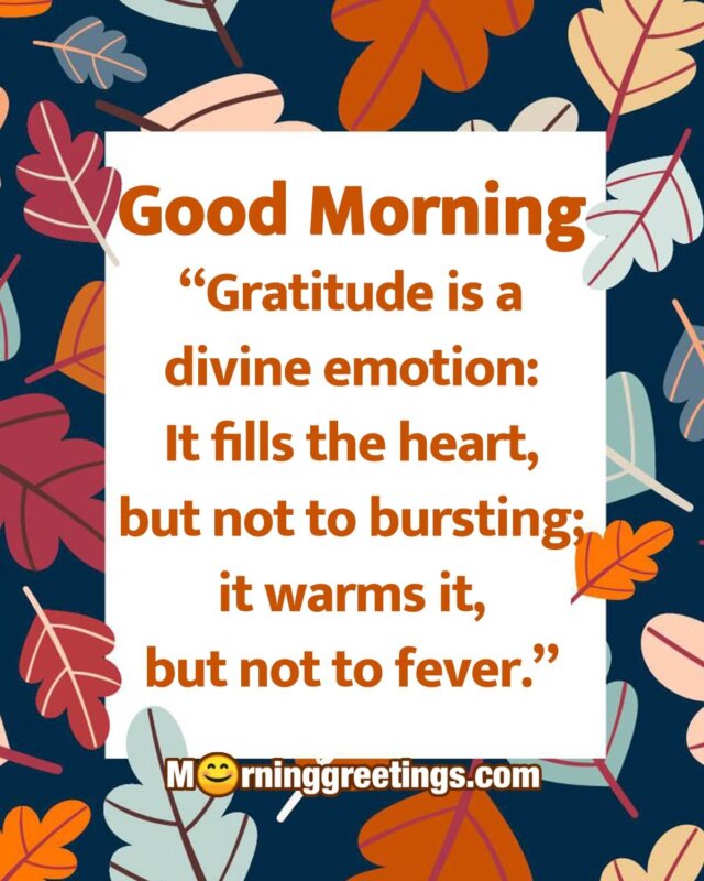 Good Morning Gratitude Is A Divine Emotion