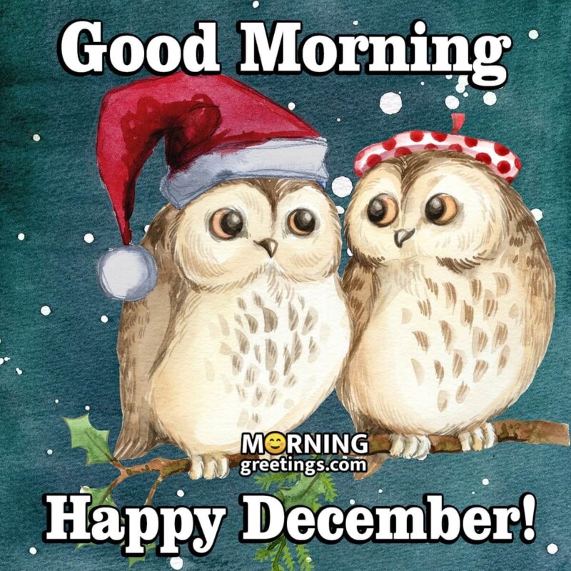 Good Morning Happy December