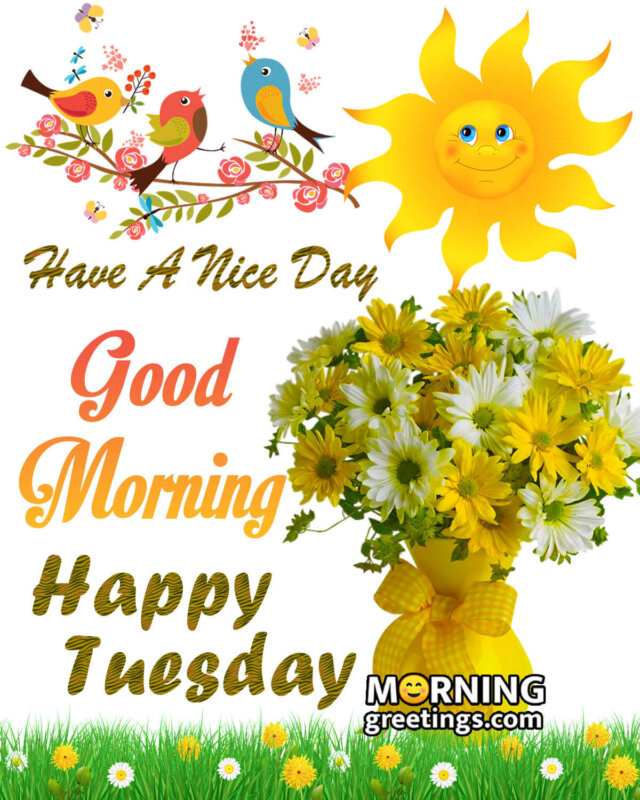 Good Morning Happy Tuesday Have A Nice Day