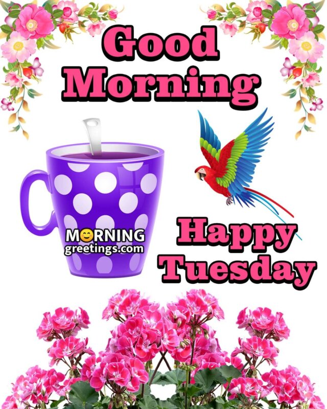 Good Morning Happy Tuesday Image