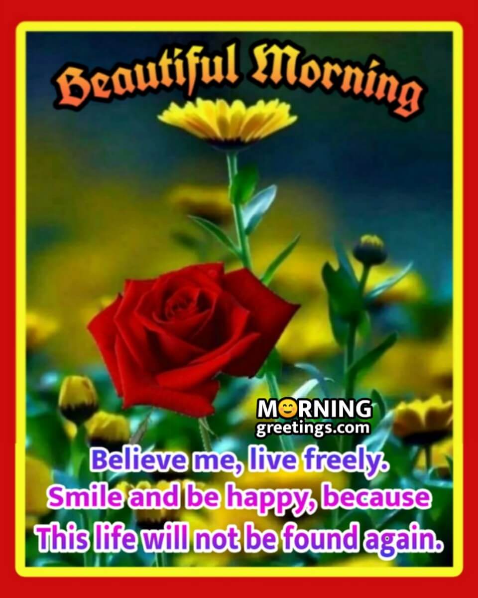 Good Morning Live Freely