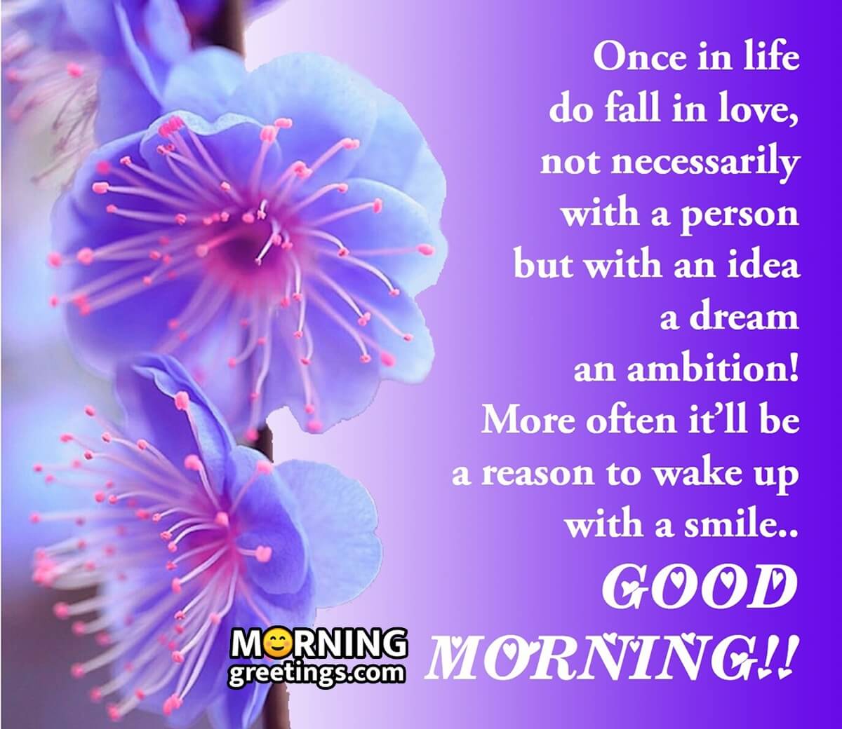 25 Positive Good Morning Life Messages - Morning Greetings ...