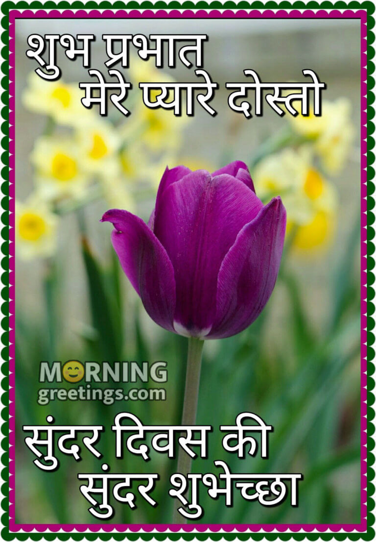 16 Good Morning Hindi Shubh Prabhat Friends Quotes (शुभ प्रभात दोस्ती ...
