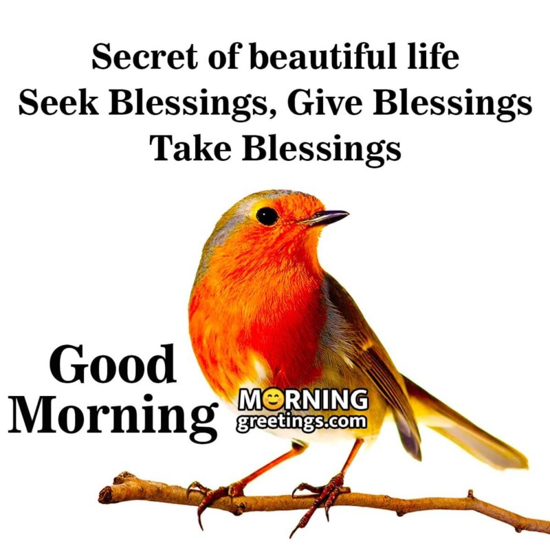 Good Morning Secret Of Beautiful Life