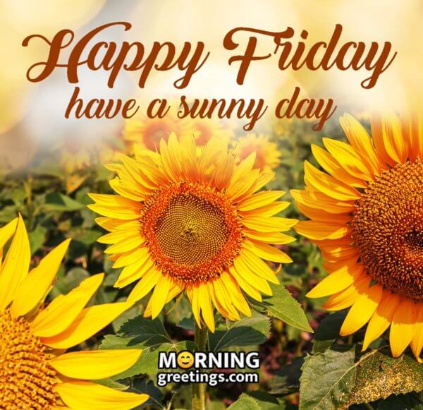 25 Superb Friday Morning Greetings - Morning Greetings – Morning Quotes