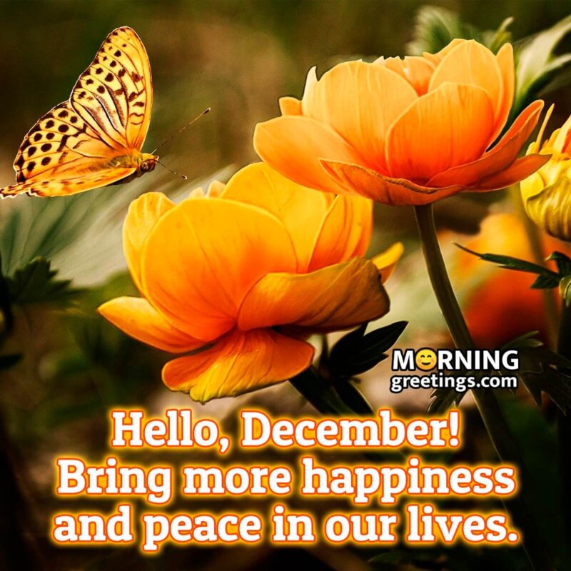Hello, December! Bring More Happiness