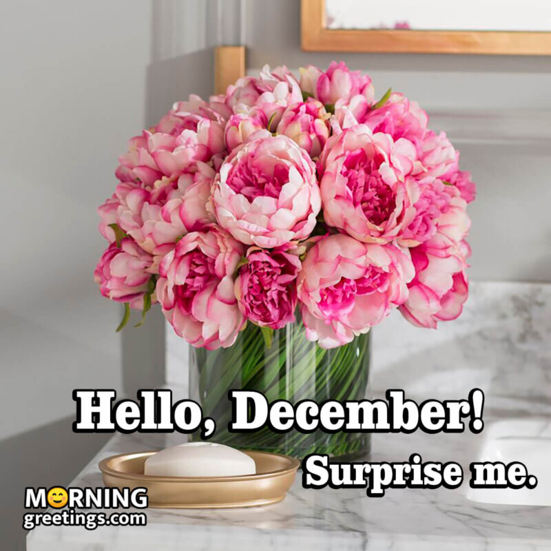 Hello, December! Surprise Me