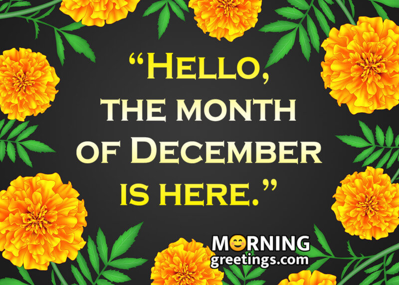 Hello, The Month Of December Is Here