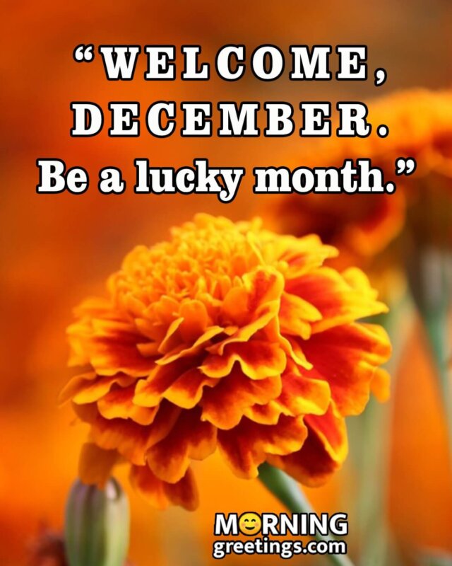 Welcome, December. Be A Lucky Month.