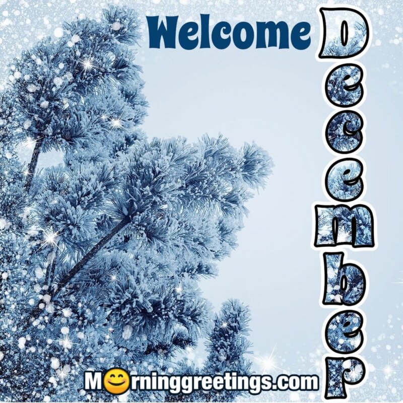 Welcome December