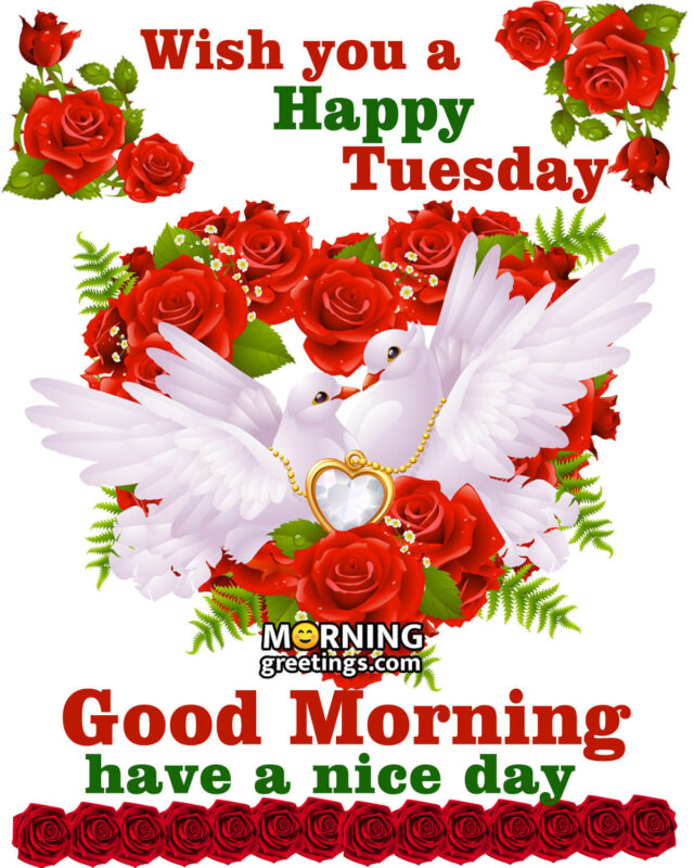 Wish You A Happy Tuesday Good Morning
