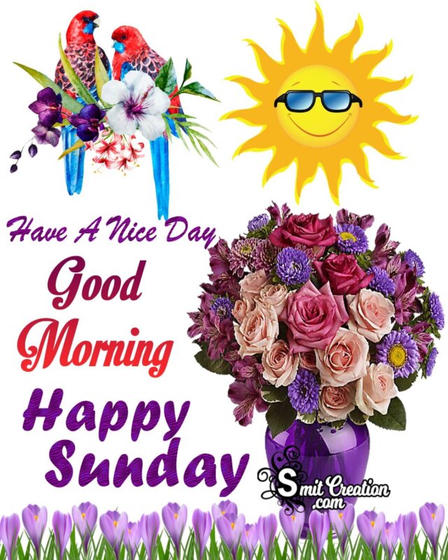 Good Morning Happy Sunday Nice Day