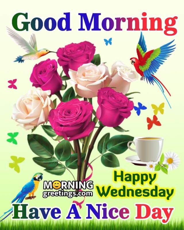 50 Good Morning Happy Wednesday Images - Morning Greetings – Morning