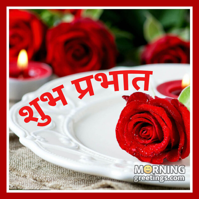 Good Morning Hindi Rose