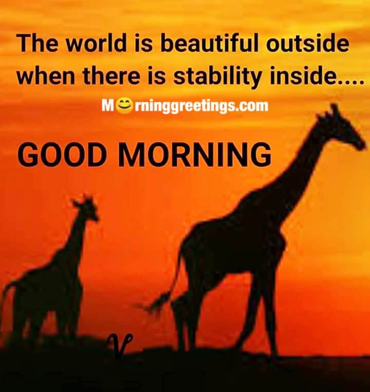 Good Morning The World Is Beautiful Outside