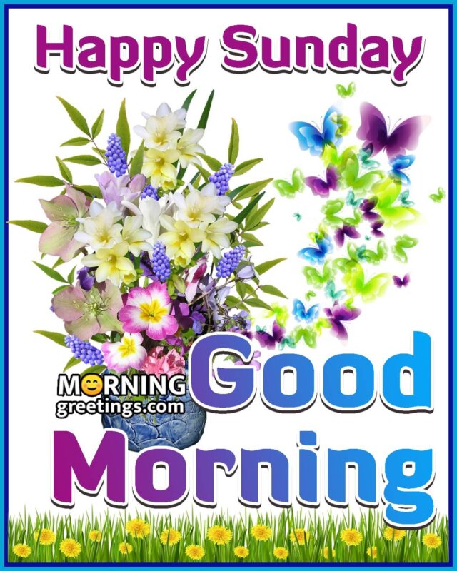 Happy Sunday Good Morning