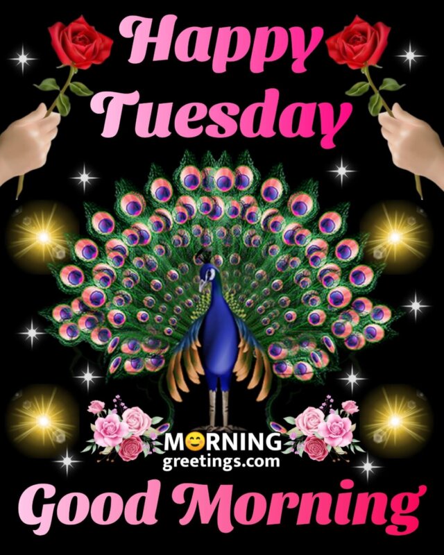 50 Good Morning Happy Tuesday Images - Morning Greetings – Morning ...