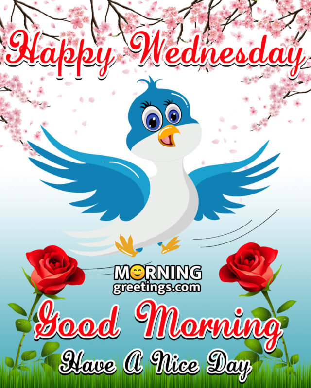 Happy Wednesday Good Morning