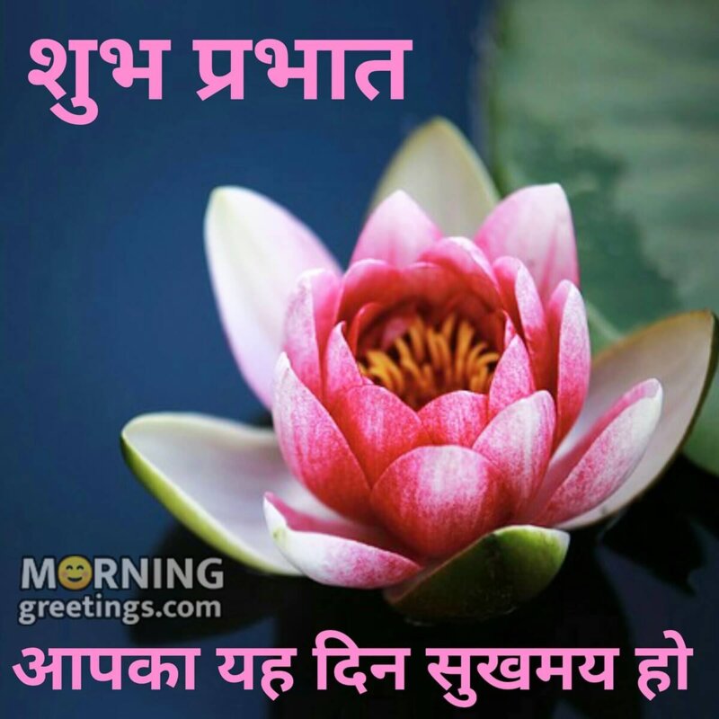 Shubh Prabhat Dood Day