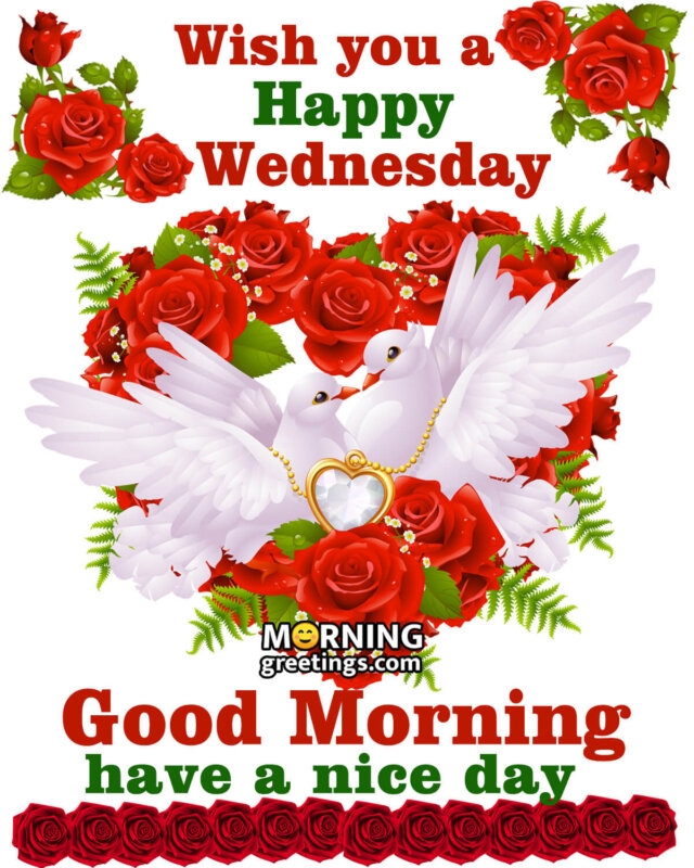Wish You A Happy Wednesday Good Morning