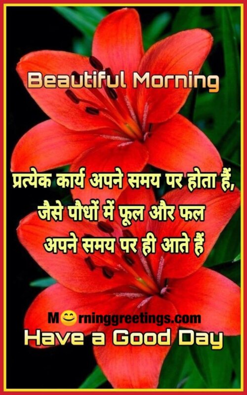 Beautiful Morning Hindi Quote Pic