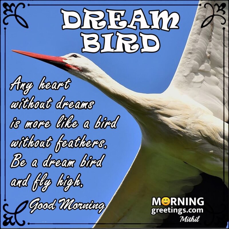 Good Morning Dream Bird