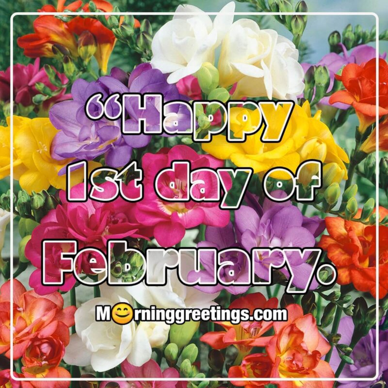 Happy 1st Day Of February