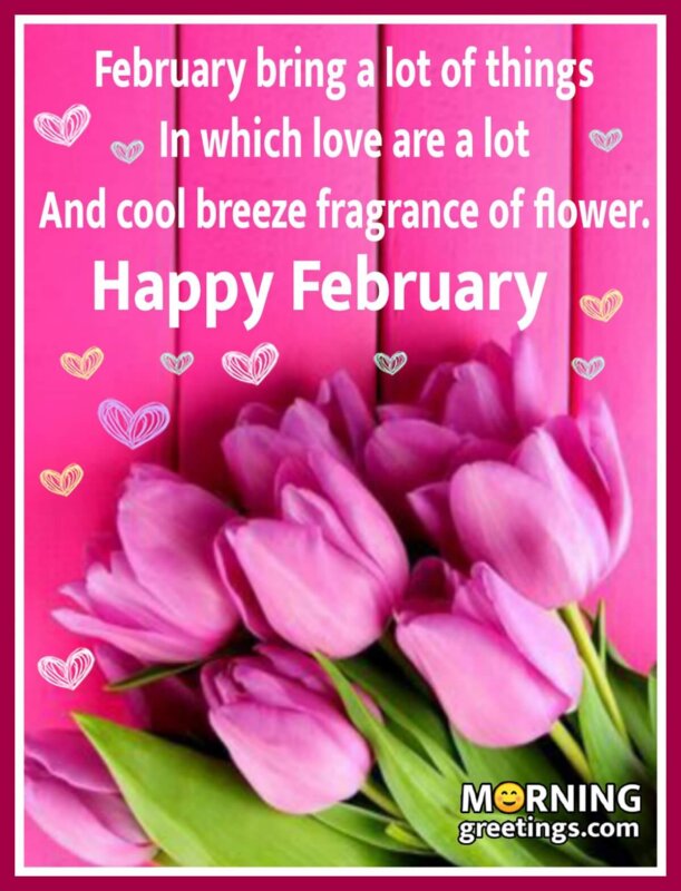 Happy February Quote