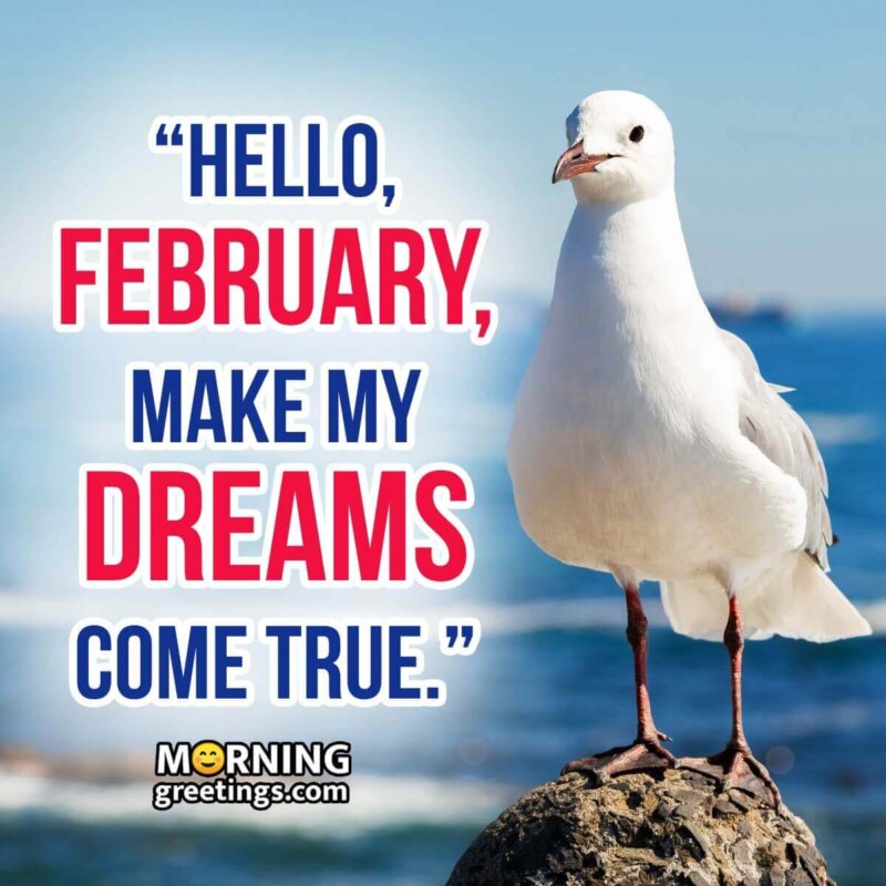 Hello, February, Make My Dreams Come True