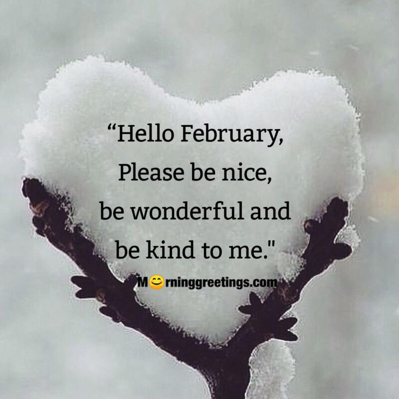 Hello February Wish