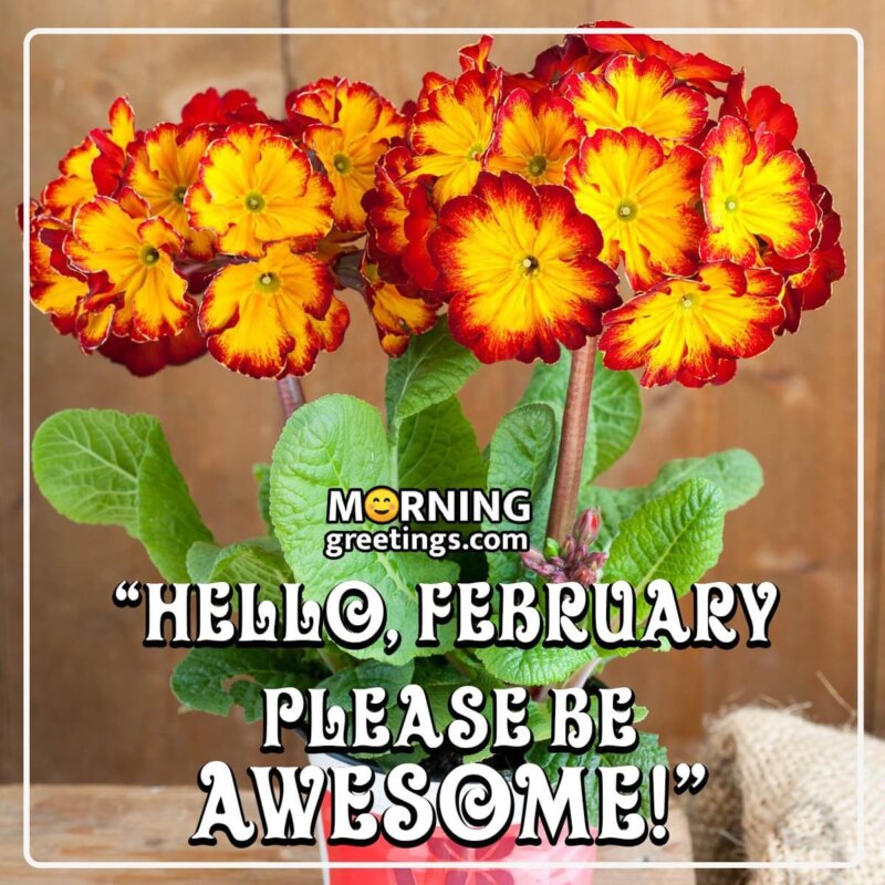 Hello, February Please Be Awesome!