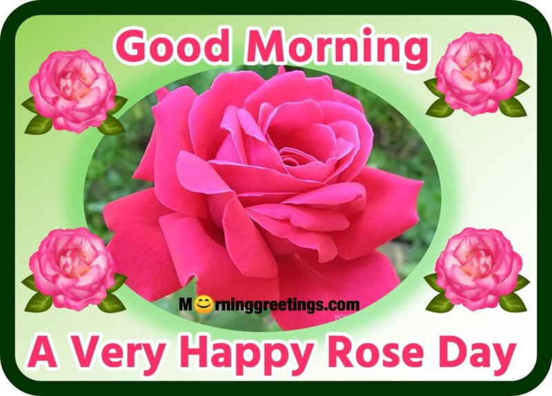 Good Morning A Very Happy Rose Day