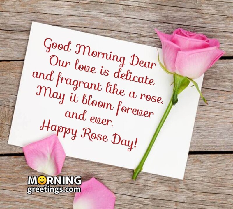 Good Morning Happy Rose Day Dear