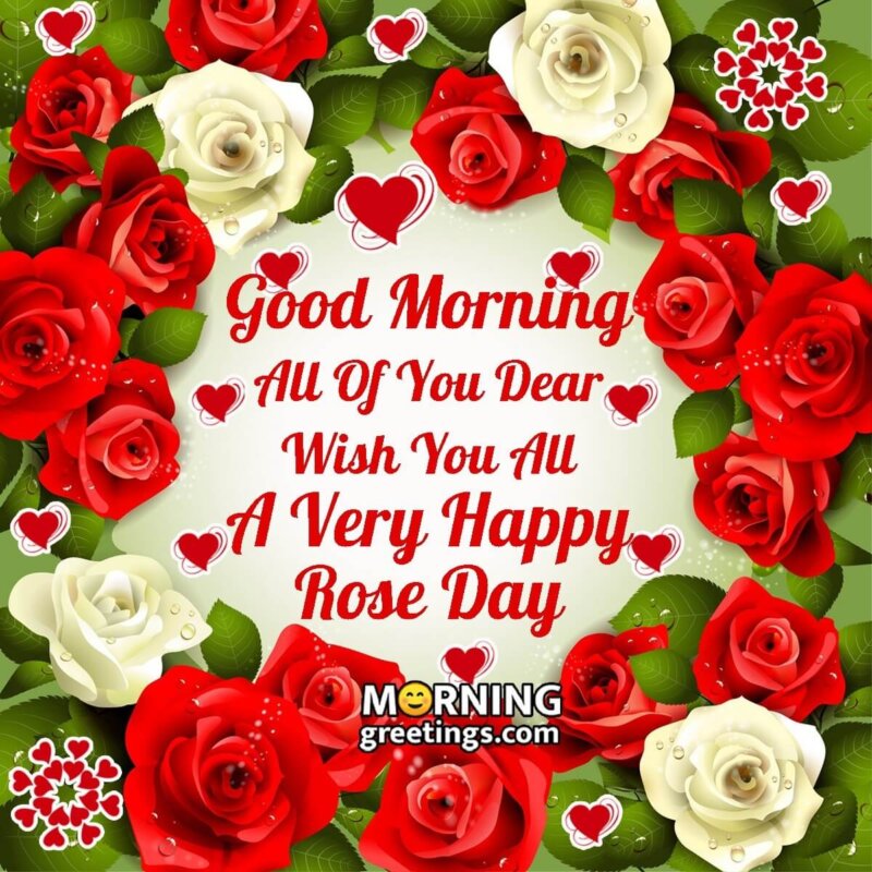 Good Morning Happy Rose Day For Whatsapp