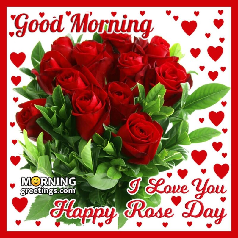 Good Morning Happy Rose Day I Love You