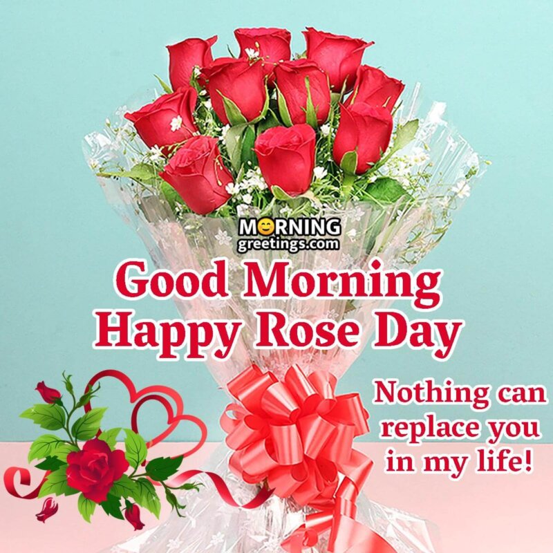 Good Morning Happy Rose Day Image