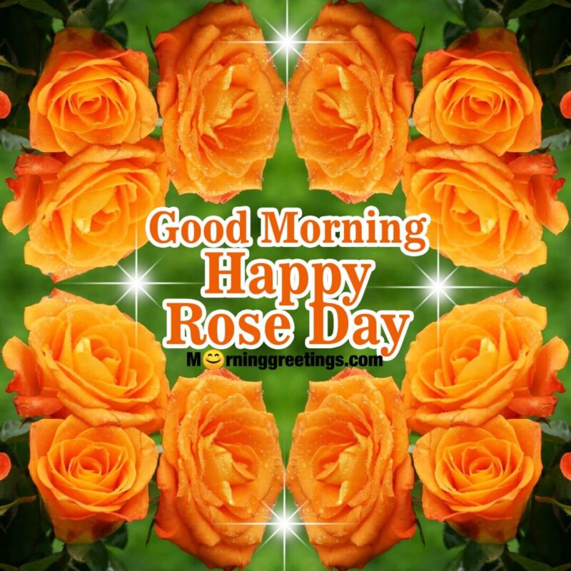Good Morning Happy Rose Day Mirror Image