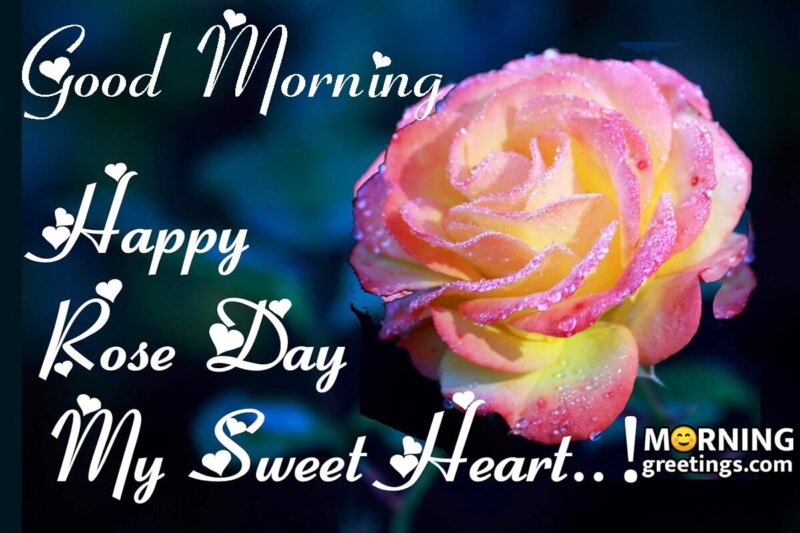 Good Morning Happy Rose Day My Sweet Heart