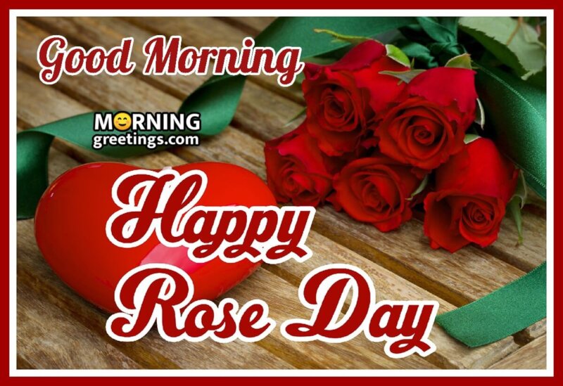 Good Morning Happy Rose Day Photo