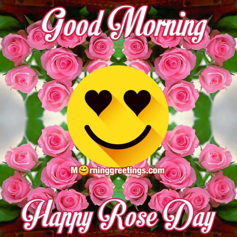 Good Morning Happy Rose Day Pic