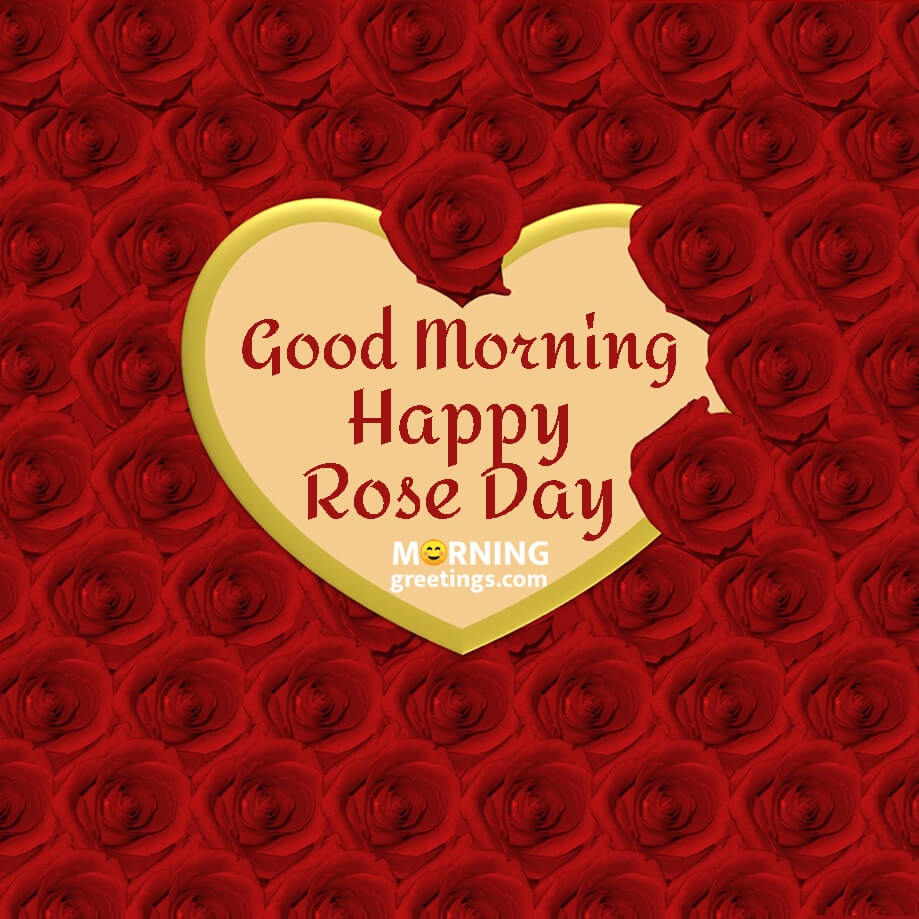 Good Morning Happy Rose Day